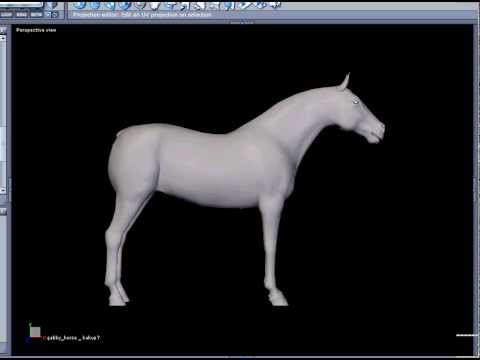 FS 3D Horse Avatar - Andalusian Progress 01